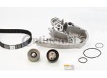 Continental Ctam CT1148WP1 Pompa Acqua + Kit Cinghia Dentata Oe 71771581 Compatibile Con Ducato, Daily