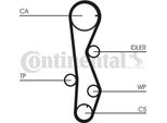 Continental Ctam CT1099WP1 Pompa Acqua + Kit Cinghia Dentata Oe Compatibile Con Elantra, Grandeur, I30, Santa Fe, Sonata, Trajet, Tucson, Carens, Ceed, Cerato, Magentis, Proceed, Sportage