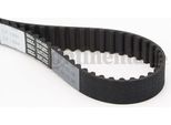 Continental Ctam CT1094 Cinghia Dentata Oe 059109119D Compatibile Con A4 8E, A4 8H, A4 8K, A5 8T, A6 4F, A8 4E, Q7, Phaeton, Touareg