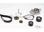 Continental Ctam CT1130WP2 Pompa Acqua + Kit Cinghia Dentata Oe 119A04462R Compatibile Con Vel Satis, Trafic, Scenic, Megane, Laguna, Espace, Clio, Avantime, Vivaro, Primastar