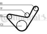 Continental Ctam CT714 Cinghia Dentata Oe 2335642011 Compatibile Con H100, L200, Pajero