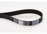Continental Ctam CT1015 Cinghia Dentata Oe 059109119A Compatibile Con A4 8D, A4 8E, A4 8H, A6 4B, A8 4D, Superb, Passat 3B