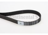 Continental Ctam CT1139 Cinghia Dentata Oe 03L109119B Compatibile Con A1 8X, A3 8P, A4 8K, A5 8T, A5 8F, A6 4G, Q3, Q5, Tt, Alhambra, Altea, Altea Xl, Exeo, Ibiza, Leon, Toledo, Fabia, Octavia, Rapid, Roomster, Superb, Yeti, Amarok, Beetle, Caddy, Cc, Crafter, Eos, Golf Plus, Golf Vi, Jetta, Multivan V, Multivan Vi, Passat Alltrack, Passat 3C, Passat 3B, Passat Cc, Polo 6R, Scirocco, Sharan, Tigua