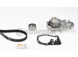 Continental Ctam CT709WP1 Pompa Acqua + Kit Cinghia Dentata Oe Compatibile Con Megane