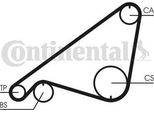 Continental Ctam CT752 Cinghia Dentata Oe 1326288 Compatibile Con 940