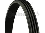 Continental Ctam 4PK1290 Cinghia Trapezoidale Dentata Oe 4668444AB Compatibile Con Pt Cruiser