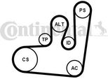 Continental Ctam 6PK1145K1 Set Di Cinghie Trapezoidali Dentate Oe Compatibile Con Vento, Sharan, Polo 6V, Passat 3B, Passat 35I, Golf Iv, Golf Iii, Caddy, Toledo, Inca, Ibiza, Cordoba, Alhambra, Galaxy
