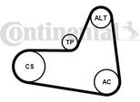 Continental Ctam 6PK1045K2 Set Di Cinghie Trapezoidali Dentate Oe Compatibile Con A3 8P, Altea, Altea Xl, Leon, Toledo, Octavia, Caddy, Eos, Golf Plus, Golf V, Golf Vi, Jetta, Passat 3C, Touran