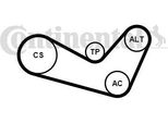 Continental Ctam 6PK1080K1 Set Di Cinghie Trapezoidali Dentate Oe Compatibile Con Polo 6R, Polo 9N, New Beetle, Golf Iv, Fox, Caddy, Bora, Roomster, Octavia, Felicia, Fabia, Toledo, Leon, Ibiza, Cordoba, A2