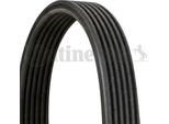 Continental Ctam 6DPK1853 Cinghia Trapezoidale Dentata Oe 9A110221601 Compatibile Con XC70, V70, S80, S70, C70, Cayman, Boxster, 911