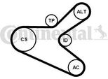 Continental Ctam 6PK1153K2 Set Di Cinghie Trapezoidali Dentate Oe Compatibile Con 307, C4