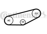 Continental Ctam 4PK855K1 Set Di Cinghie Trapezoidali Dentate Oe Compatibile Con Passat 3B, Superb, A6 4B, A6 4A, A4 8E, A4 8D