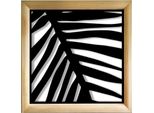 Palma - Moduli Decorativi In Legno E Pvc 73X73 Cm Nero