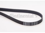 Continental Ctam 6PK2260 Cinghia Trapezoidale Dentata Oe 078903137K Compatibile Con Cherokee, Sc, 6, Classe C, Classe Clc, Clk, Classe E, Classe S, Sprinter, Viano, Vito, Calibra A, Omega, Senator, Vectra, 911