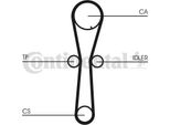 Continental Ctam CT954K1 Kit Cinghia Dentata Oe Compatibile Con Civic, Accord