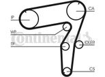 Continental Ctam CT918 Cinghia Dentata Oe 46457742 Compatibile Con Kappa, Marea