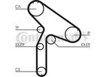 Continental Ctam CT980 Cinghia Dentata Oe 7700858045 Compatibile Con Laguna