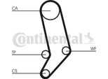 Continental Ctam CT939K4 Set Cinghia Dentata Oe 074198119C Compatibile Con Transporter Iv
