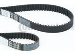 Continental Ctam CT957(SET) Cinghia Dentata Oe 036109119AG Compatibile Con A2, Altea, Altea Xl, Arosa, Cordoba, Ibiza, Inca, Leon, Toledo, Fabia, Octavia, Roomster, Bora, Caddy, Golf Iv, Golf Plus, Golf V, Golf Vi, Lupo, New Beetle, Polo 6N, Polo 9N, Polo 6V, Polo 6R