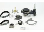Continental Ctam CT901WP3 Pompa Acqua + Kit Cinghia Dentata Oe Compatibile Con Mondeo