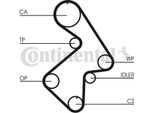 Continental Ctam CT998 Cinghia Dentata Oe 135687909583 Compatibile Con Avensis, Camry, , Picnic, Rav 4