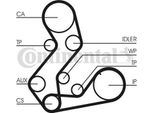 Continental Ctam CT901K2 Kit Cinghia Dentata Oe 1110999 Compatibile Con Mondeo, Fiesta, Escort