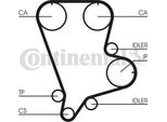 Continental Ctam CT993 Cinghia Dentata Oe OK55112205B Compatibile Con Carnival