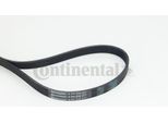 Continental Ctam 6PK976 Cinghia Trapezoidale Dentata Oe 60571125 Compatibile Con Vento, Sharan, Polo 6R, Passat 35I, Golf Iv, Golf Iii, Crafter, Corrado, V70, V60, V50, S80, S60, S40, C30, Toledo, Ibiza, Cordoba, Partner, 508, 5008, 407, 308, 307, 3008, 208, 207, 206, 2008, 1007, Clubman, Mini, 3, 2, Ix35, Elantra, Transit, C-Max, Fusion, Focus, Fiesta, Ecosport, B-Max, C4, DS4, DS3, C5, C4Er, C3,