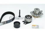 Continental Ctam CT995WP1 Pompa Acqua + Kit Cinghia Dentata Oe 71771595 Compatibile Con Strada, Punto, Palio, Marea, Doblo, Bravo, Brava