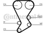 Continental Ctam CT812 Cinghia Dentata Oe MD176389 Compatibile Con Lancer, Colt