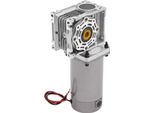 Motore Con Riduttore A Vite Senza Fine - Dc 24V - Autobloccante