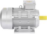 Motore Elettrico - Motore A Induzione Asincrono Trifase - 4 Kw - 2895 Giri/Min - IP55 - Classe Di Isolamento F - Argento