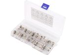 Kit Assortito Di Fusibili Per Vetri Auto A Intervento Rapido, 100 Pezzi In Totale, 55 Pezzi Da 5X20 Mm, 45 Pezzi Da 6*30 Mm, Amperaggio 0,2 A, 0,5 A, 1 A, 2 A, 3 A, 5 A, 10 A, 15 A, 20 A, 30 A.