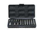 Bgs Do It Yourself Bit-Satz Antrieb AußEnsechskant 10 Mm T-Profil (FüR Tx) 15-Tlg. (5040)