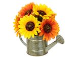 Kunstblume I.Ge.A. "Sonnenblumen In GießKanne", Gelb (Gelb, Orange), B:25Cm H:21Cm L:20Cm, Polyester, Kunstpflanzen, Herbstgesteck Herbstliche Blumen