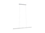 Paulmann Led Pendelleuchte "Aptare Rgbw+", Aluminiumfarben, 2, H: 150Cm, 1 Stk., Leuchten, Smart Home, Led Pendelleuchte