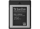 SANDISK Speicherkarte PRO-CINEMA CFexpress VPG400 Typ B 256GB, schwarz (schwarz, grau), 256 GB, Speicherkarten