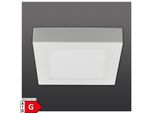 Näve LED Deckenleuchte "Simplex"" S:17Cm"