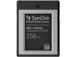 SANDISK Speicherkarte PRO-CINEMA CFexpress VPG400 Typ B 256GB, schwarz (schwarz, grau), 256 GB, Speicherkarten