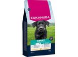 eukanuba Croquettes Pour Chien, Adulte, Grande Taille, Poulet 15 Kg
