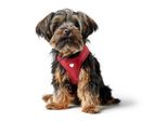 Hunter Geschirr Love 20 cm