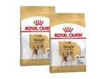 Royal Canin Beagle Adulte Croquettes Chien 2X12 Kg