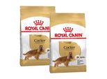 Royal Canin Cocker Adulte Croquettes Chien 2X12 Kg