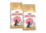 Royal Canin Maine Coon Chaton Croquettes Chat 2X10 Kg