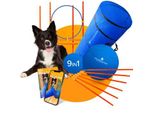 PfotenWunder® 9-in-1-Agility Set Hunde groß + 21 Min. Hundeschule