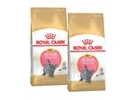 Royal Canin British Shorthair Chaton Croquettes Chat 2X10 Kg