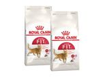 Royal Canin Fit 32 Croquettes Chat 2X10 Kg