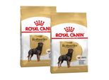 Royal Canin Croquettes Chien Rottweiler 2X12 Kg