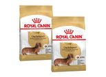 Royal Canin Teckel Adulte Croquettes Chien 2X7,5 Kg