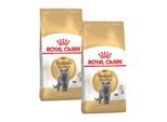 Royal Canin British Shorthair Adulte Croquettes Chat 2X10 Kg